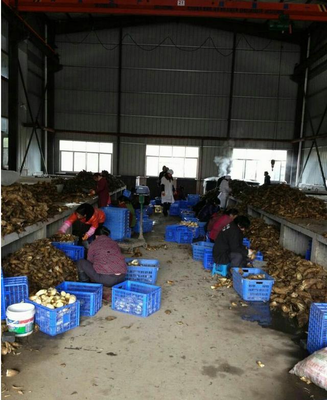 舌尖美味：苗乡城步一年四季竹笋飘香