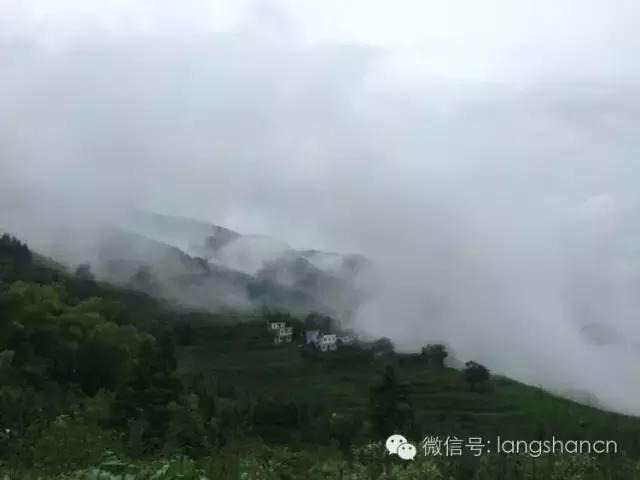 梯田--故乡原风景！