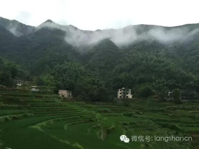 梯田--故乡原风景！