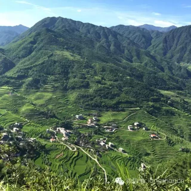 梯田--故乡原风景！