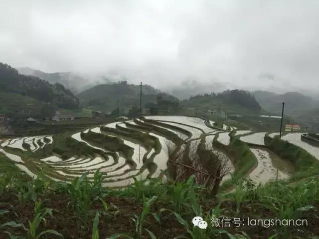 梯田--故乡原风景！