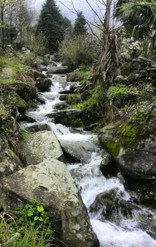 湖南城步丹口镇：这里有条300万年前古冰川遗迹地质的奇观溪