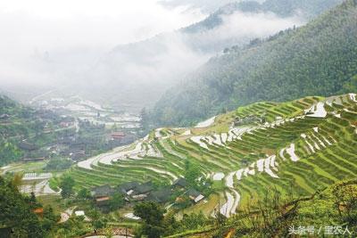 如黄金一般的梯田，城步上排村