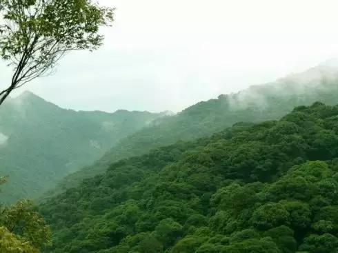 隆回望云山寿佛爷的传说，以及隆回的由来！