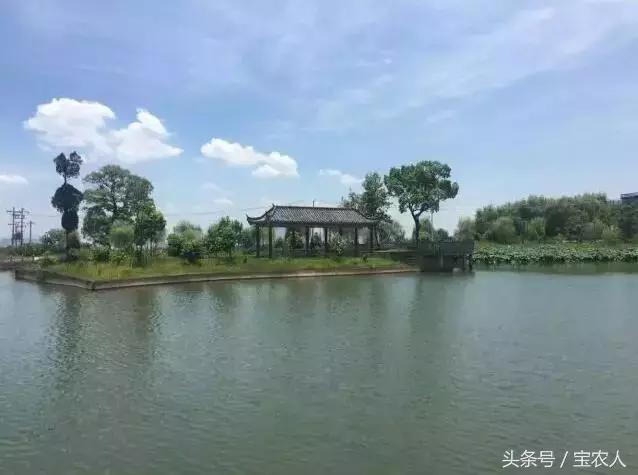 周末不妨打个“飞的”，感受邵阳这个千年古村的新变化！