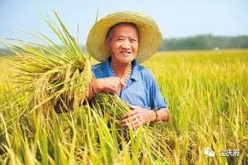 隆回山界罗白的传说——老天爷刮风降雹，响斋公显灵佑民