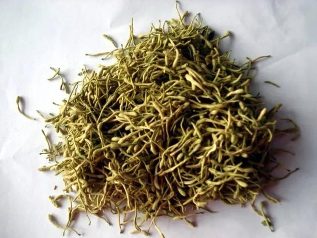 隆回金银花第一人