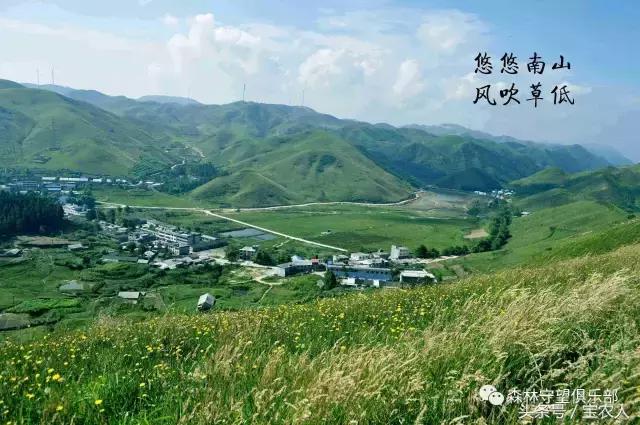 邵阳那么美，一起去看看——城步南山牧场