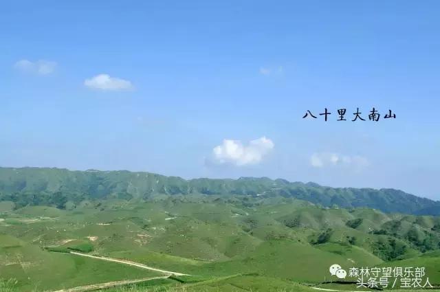 邵阳那么美，一起去看看——城步南山牧场