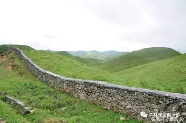 邵阳那么美，一起去看看——城步南山牧场