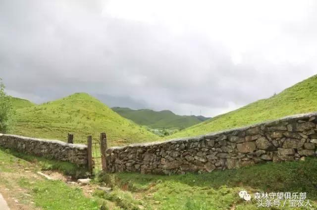 邵阳那么美，一起去看看——城步南山牧场