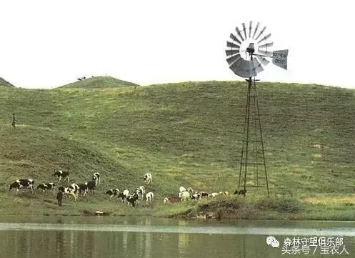 邵阳那么美，一起去看看——城步南山牧场