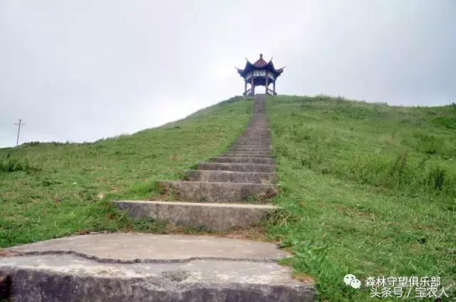 邵阳那么美，一起去看看——城步南山牧场