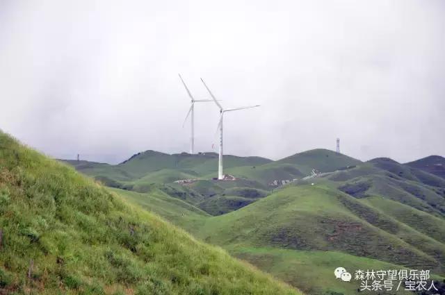 邵阳那么美，一起去看看——城步南山牧场