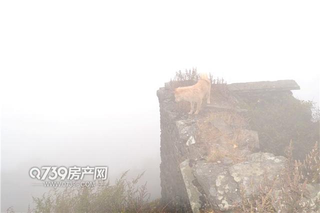 全国罕见的纯石建古庙，隐藏于邵阳深山之中极少人知！