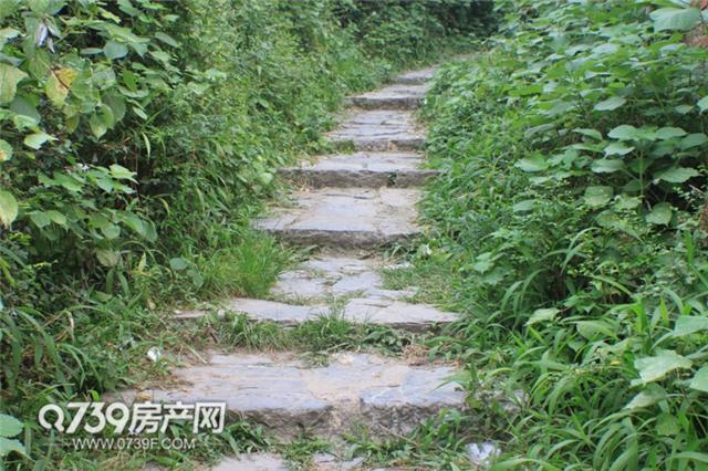 这是邵阳城区仅存的千年古井 藏于城央深处不为人知！