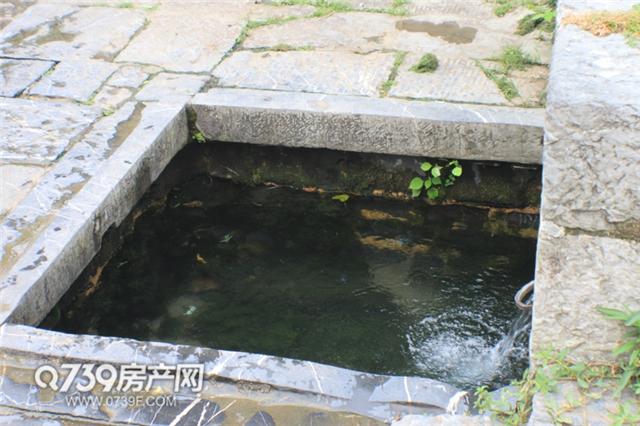 这是邵阳城区仅存的千年古井 藏于城央深处不为人知！