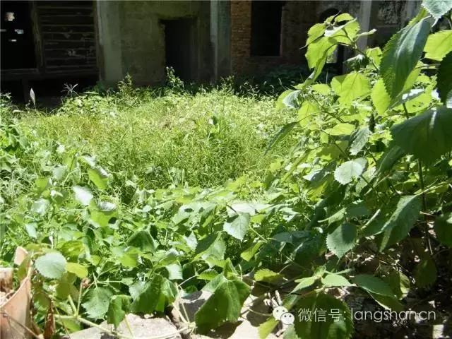 深度 ‖ 省级文物保护单位一锁数春秋 现状实堪忧