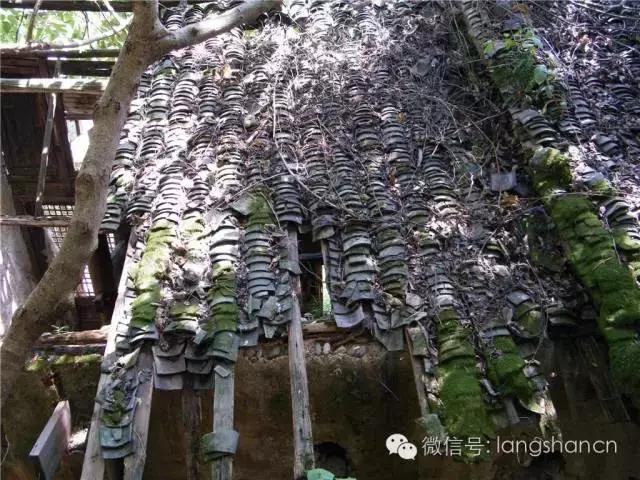 深度 ‖ 省级文物保护单位一锁数春秋 现状实堪忧