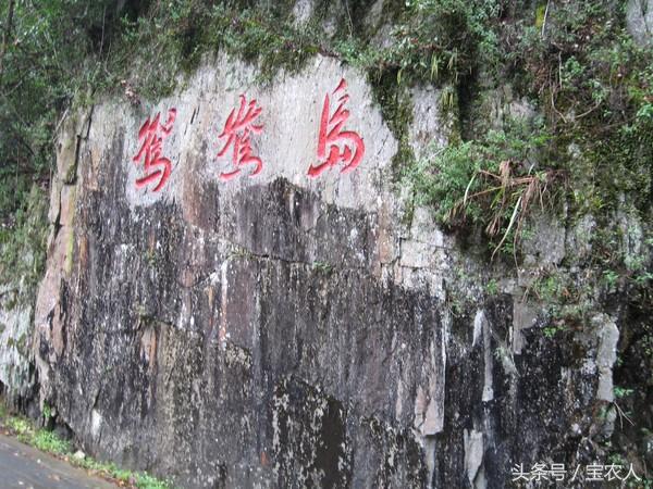 黄桑——绝妙胜景！
