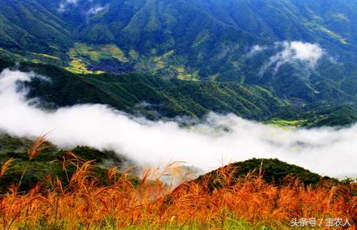 黄桑——绝妙胜景！