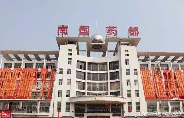 邵东印象（3）：隽永廉桥，药香氤氲的中华名镇