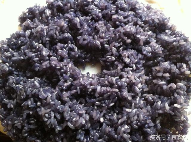 “仙家服食”的乌饭，你吃过吗？