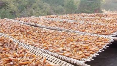 在武冈农村吃过这些零食的，证明你老了