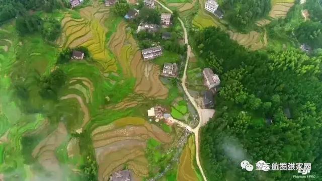 温柔是故乡｜从500米高空看毛坳、石塘、严胜、幸福的绝美梯田