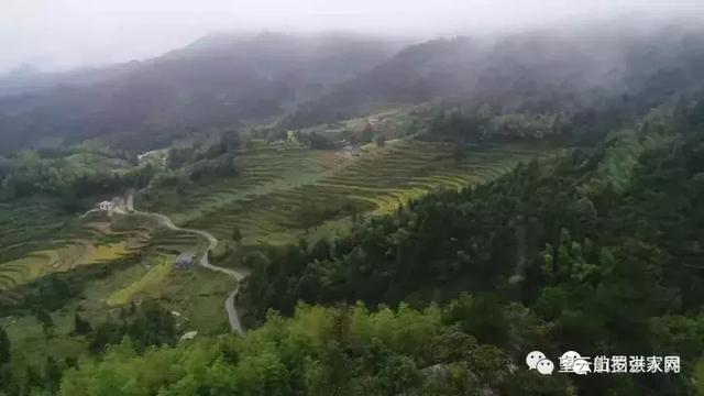 温柔是故乡｜从500米高空看毛坳、石塘、严胜、幸福的绝美梯田