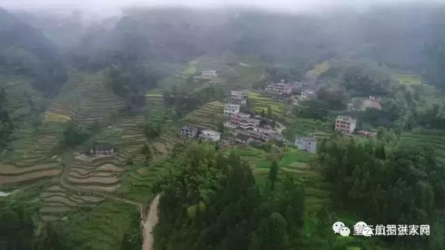 温柔是故乡｜从500米高空看毛坳、石塘、严胜、幸福的绝美梯田