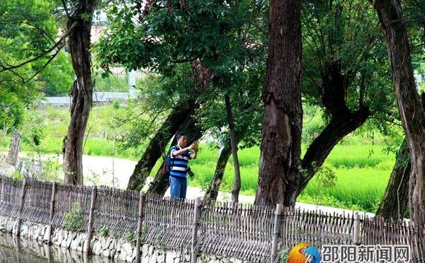 湖南省侗学会怀化学院联合赴绥宁调研侗寨申遗