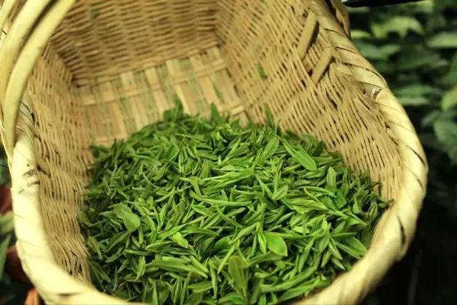 那些你不知道的隆回茶文化，曾经也有驰名中外的名茶