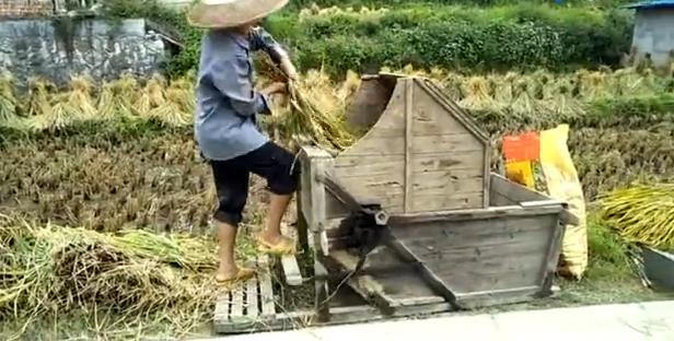 忆隆回农民
