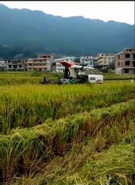 忆隆回农民