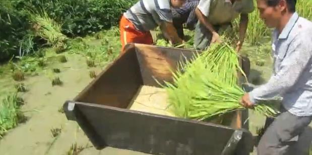 忆隆回农民