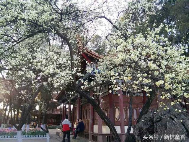 路过春天，遇见美好