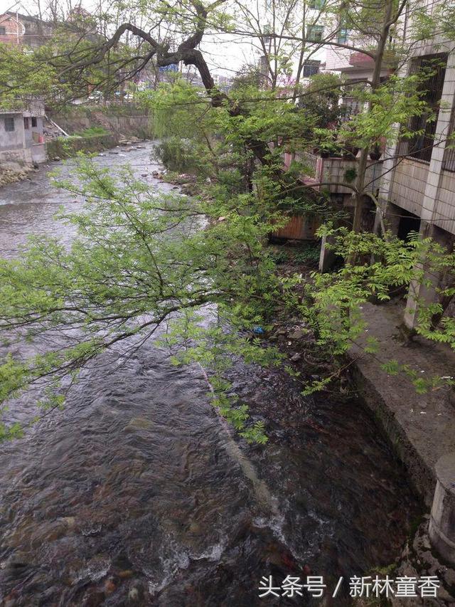 路过春天，遇见美好
