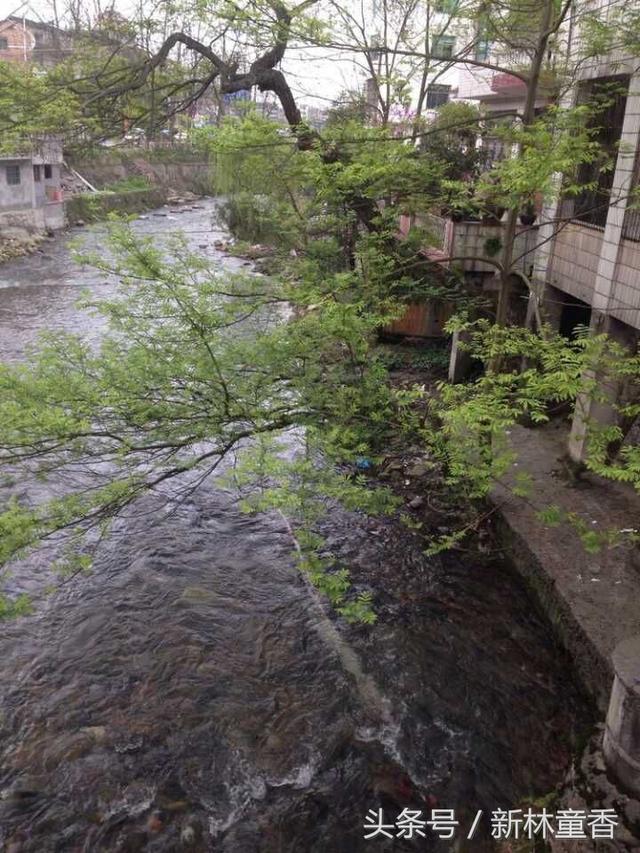 路过春天，遇见美好
