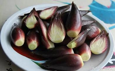 阳荷——这种食物你吃过吗？