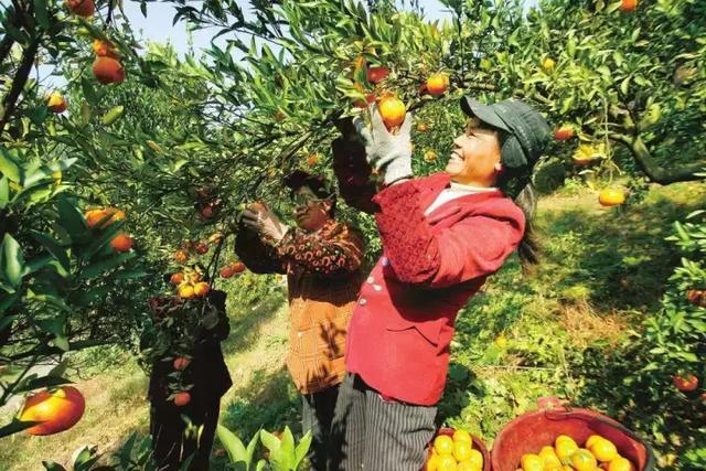 邵阳这6个省级美丽乡镇是这样选出来的！你服不服？