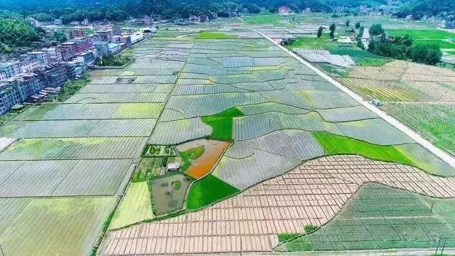 邵阳这6个省级美丽乡镇是这样选出来的！你服不服？
