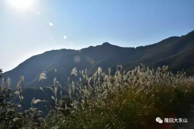 山的呼唤，秋的诱惑——隆回大东山的秋韵