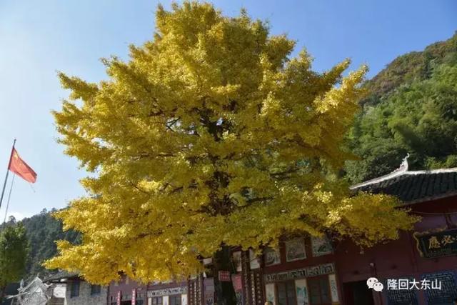 山的呼唤，秋的诱惑——隆回大东山的秋韵