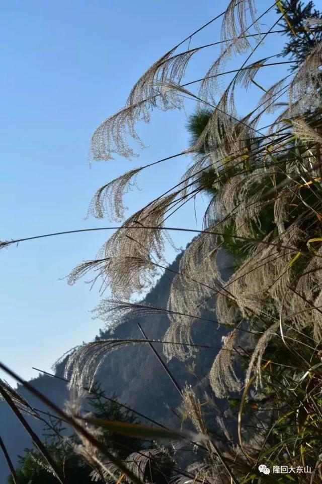 山的呼唤，秋的诱惑——隆回大东山的秋韵