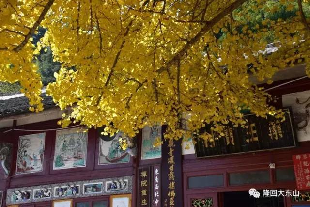 山的呼唤，秋的诱惑——隆回大东山的秋韵