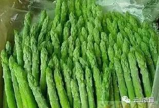 邵东大云山，那令人难忘的美味！