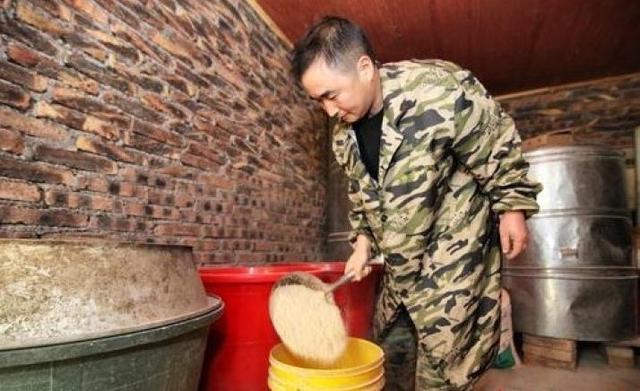 新邵县出了个“养猪王”，承包100余亩山林后喂养300多头野猪
