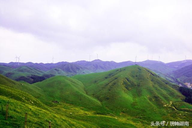 玩转湖南｜想去草原策马奔腾不只在西北，湖南也有俩个大草原