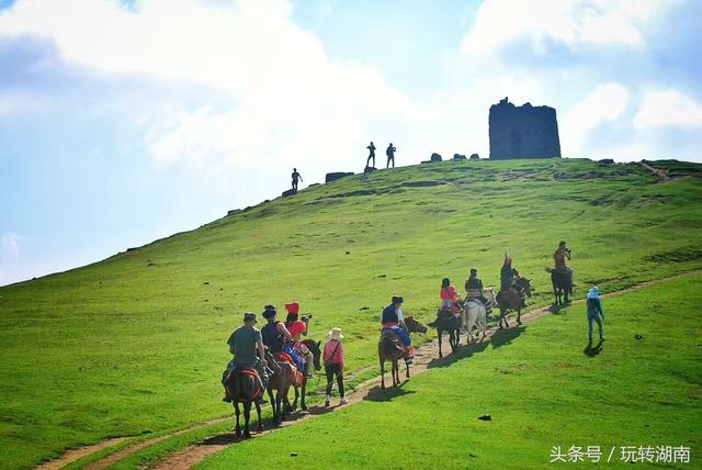 玩转湖南｜想去草原策马奔腾不只在西北，湖南也有俩个大草原